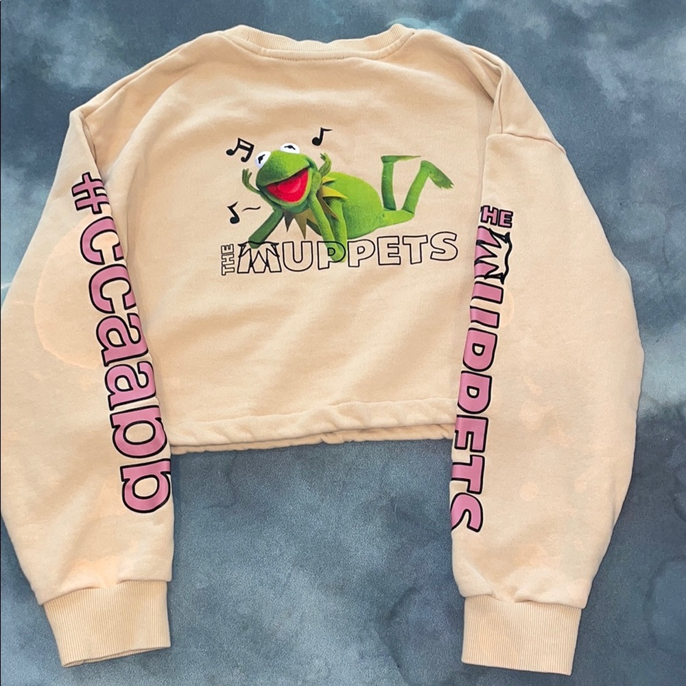 Cropped Muppets Top with Kermit | XS